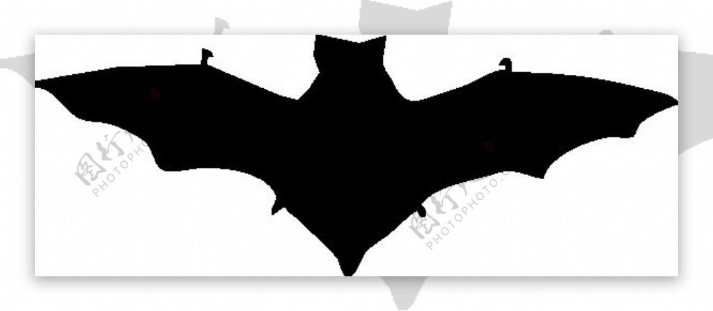 蝙蝠的剪影艺术剪辑
