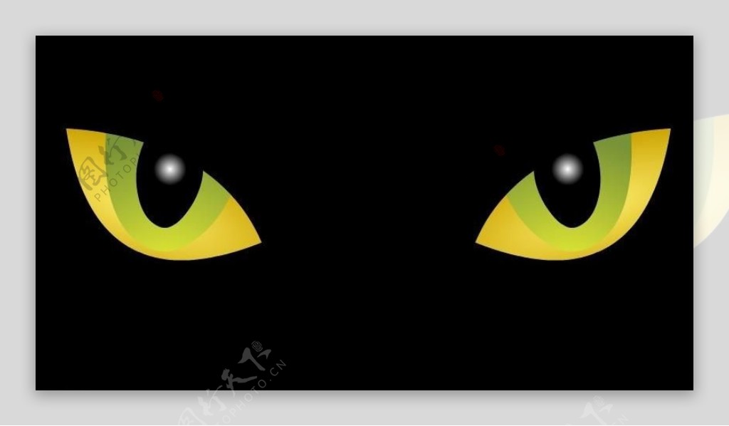 猫眼动画flash图片