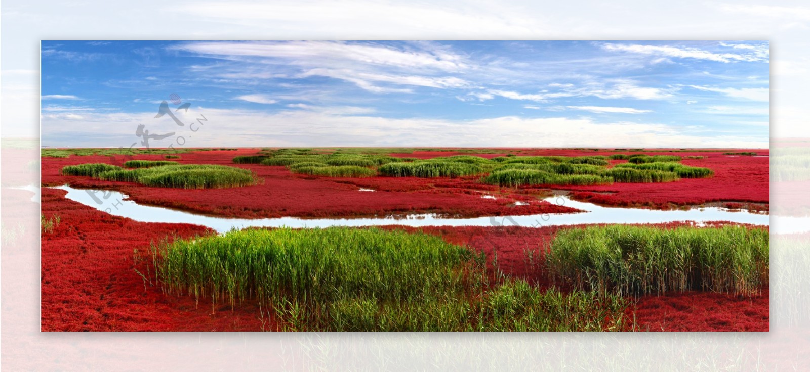 红海滩风景图片