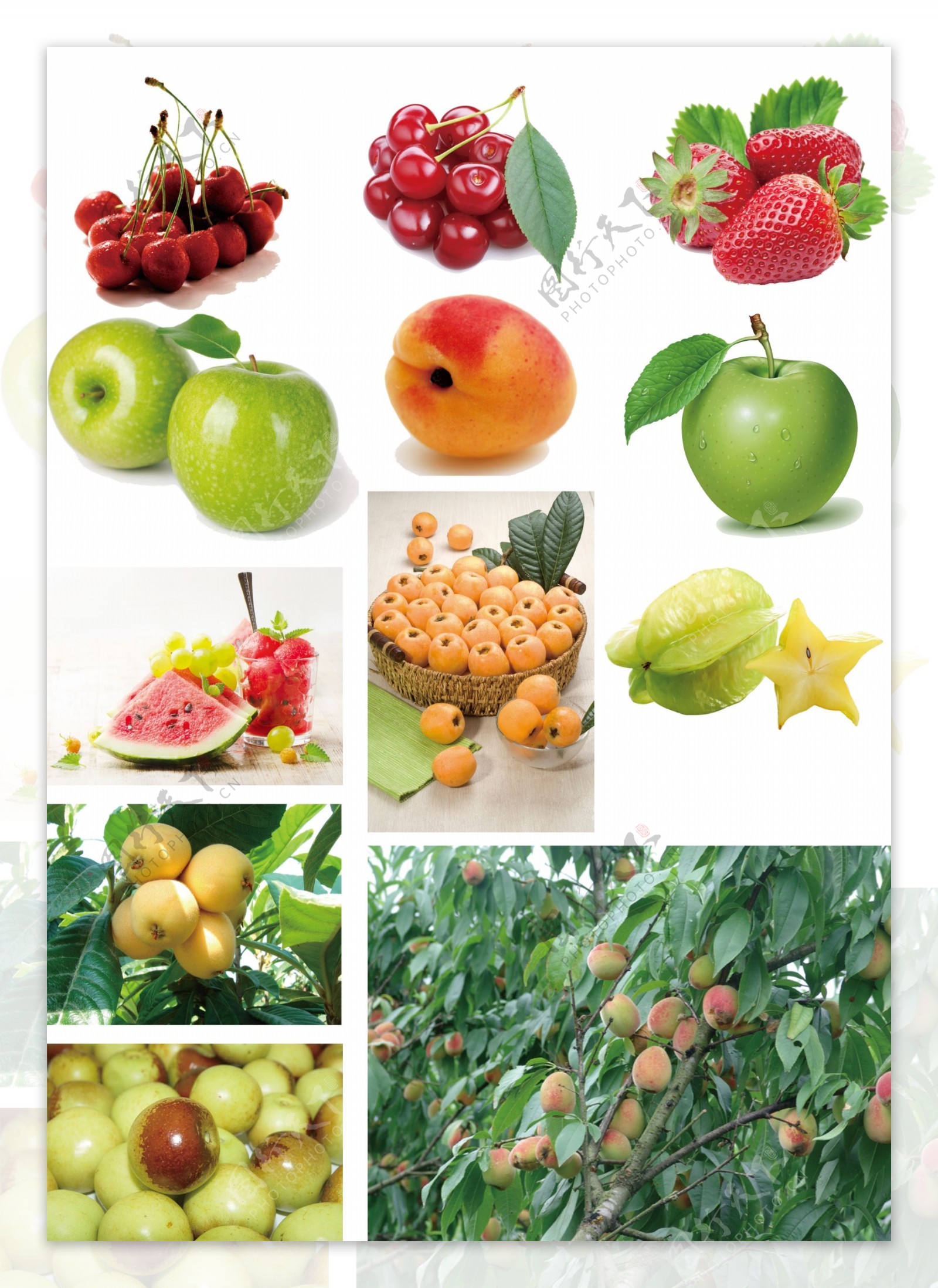 水果素材分层图2