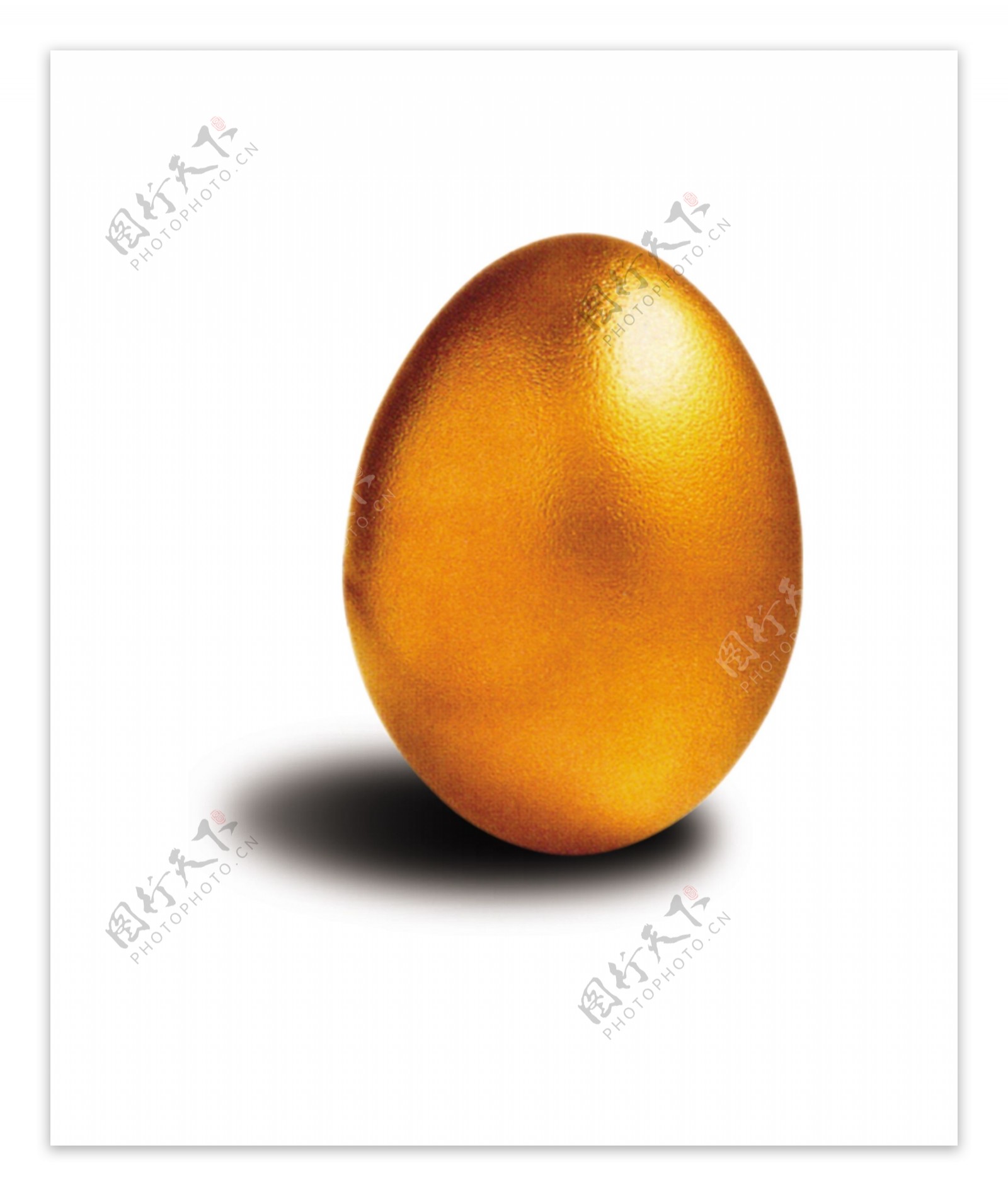 金蛋金蛋