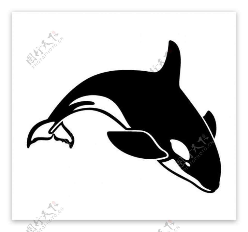 跳水杀人鲸的矢量图形