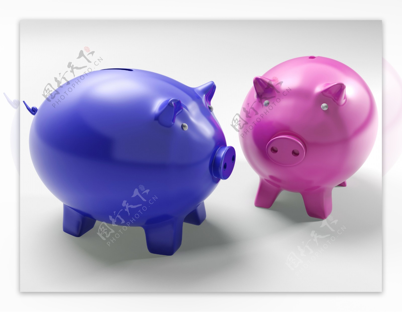 两只猪显示金融投资和安全