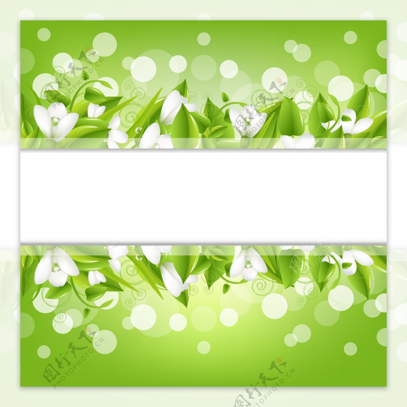 鲜花装饰绿色背景矢量素材