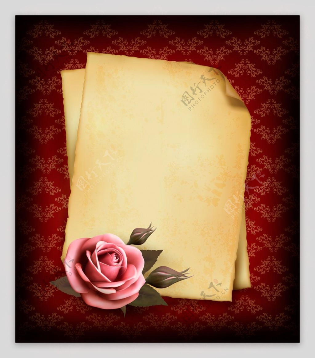 粉色玫瑰花卉卡片矢量素材精美立体玫瑰花