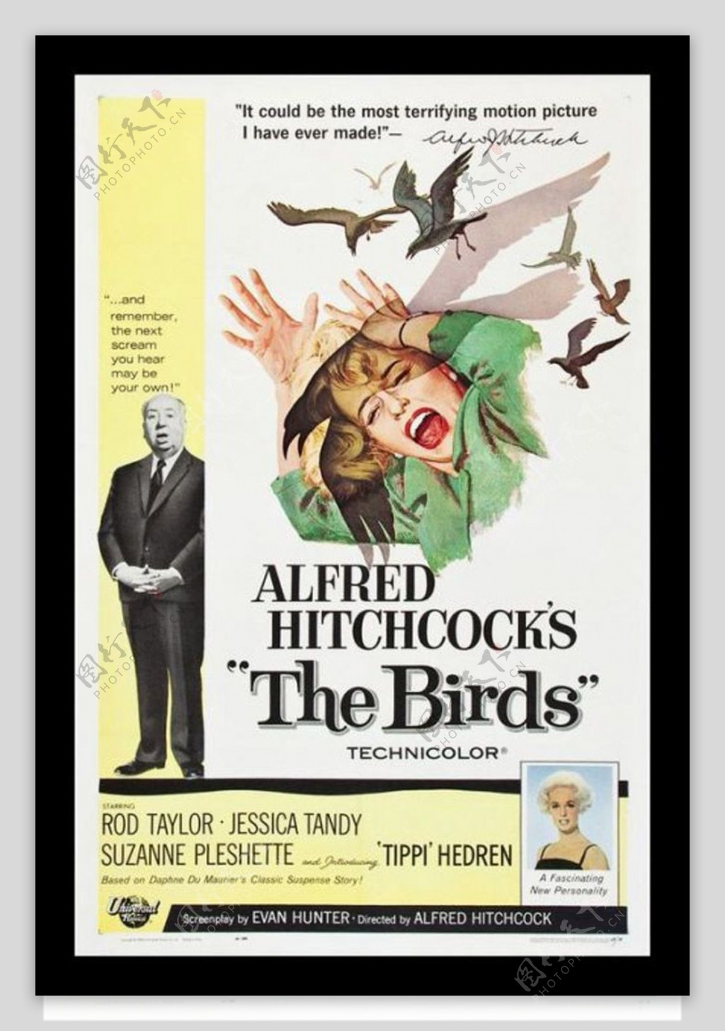 位图欧美怀旧老电影海报THEBIRDS免费素材