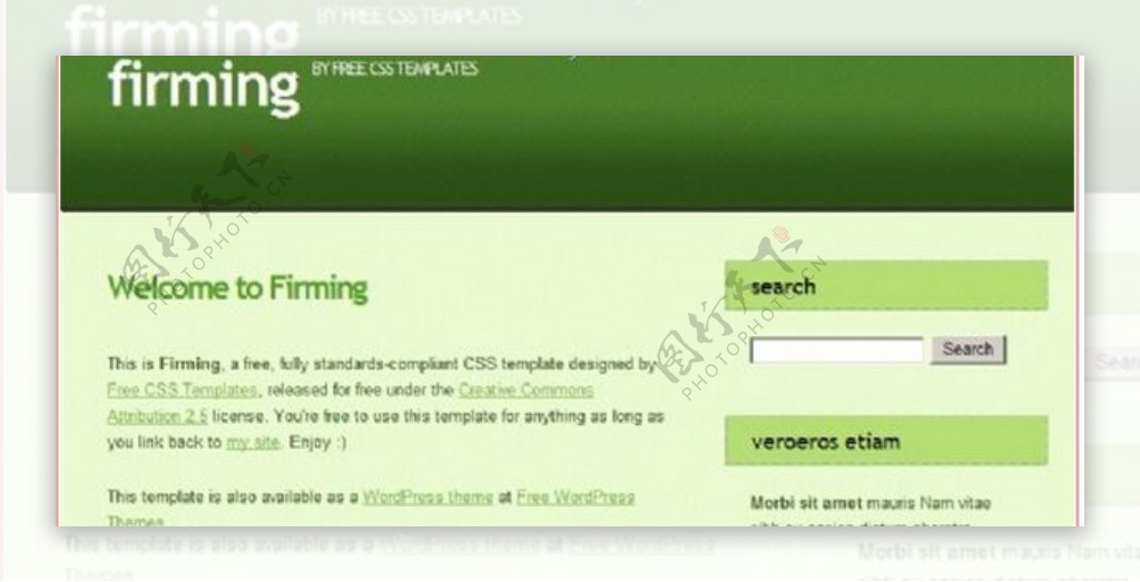 绿色IT技术BLOG网页模板