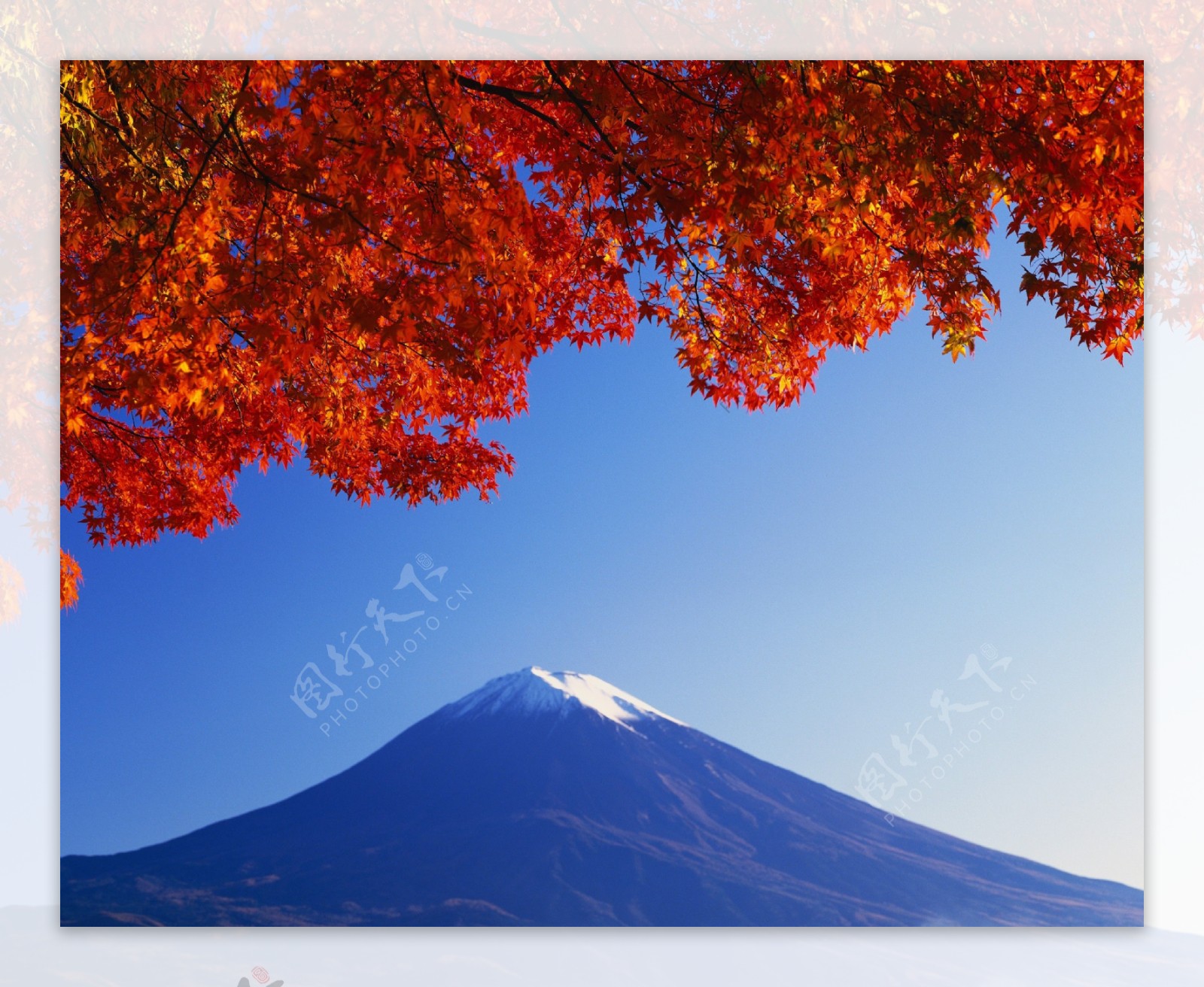 日本富士山