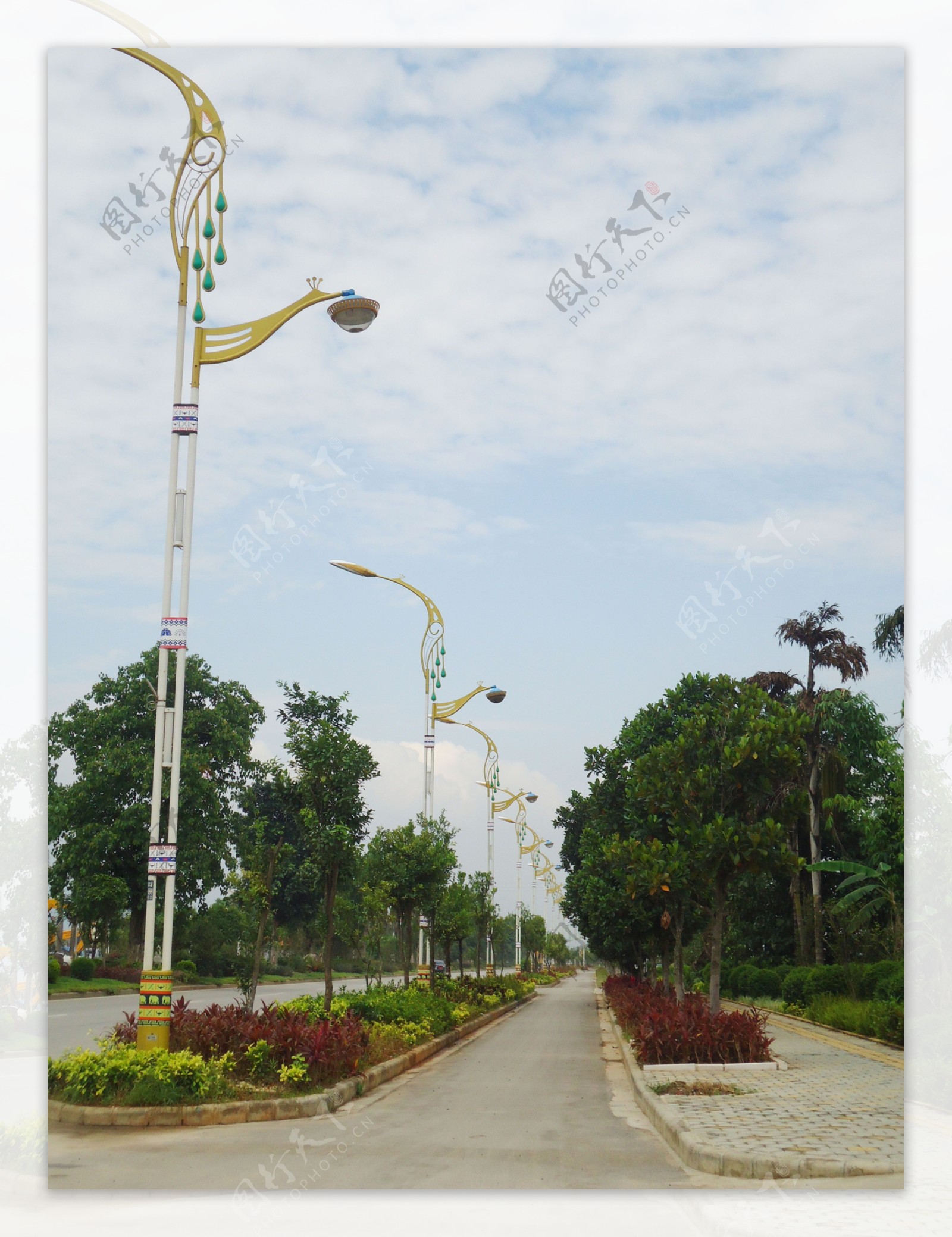 芒市机场大道路边风景图片