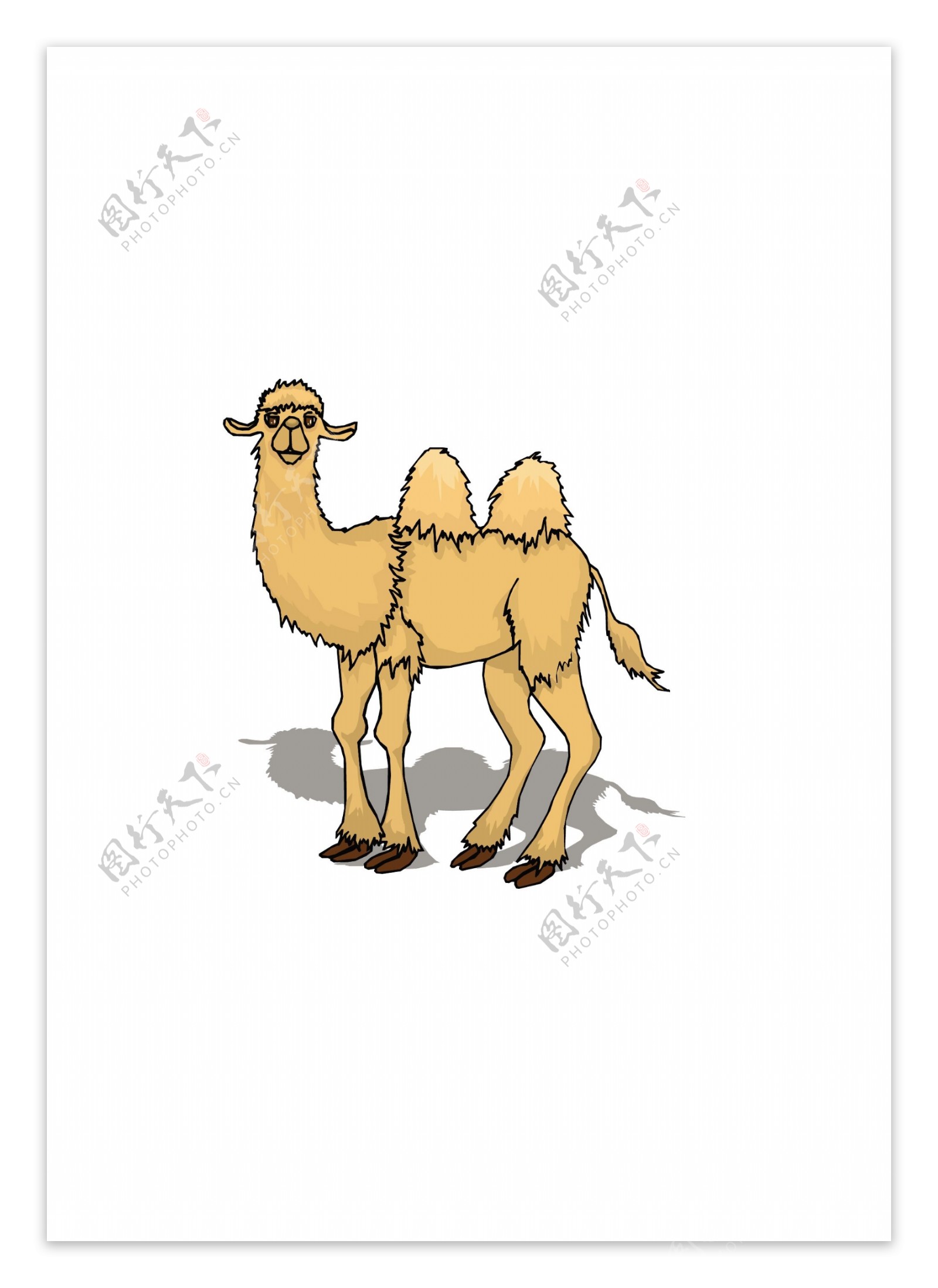 骆驼4向量