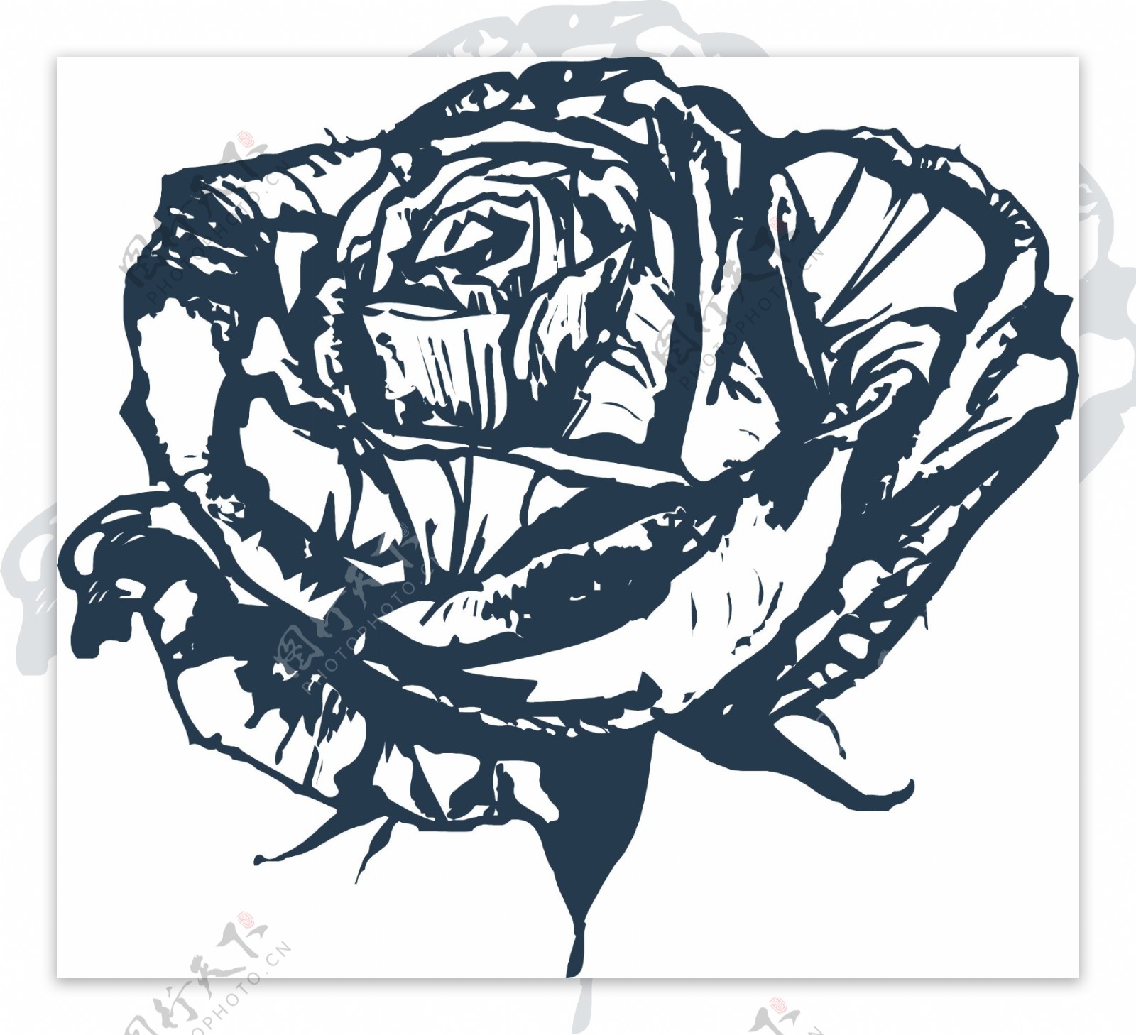 印花矢量图优雅植物玫瑰花色彩黑白色免费素材