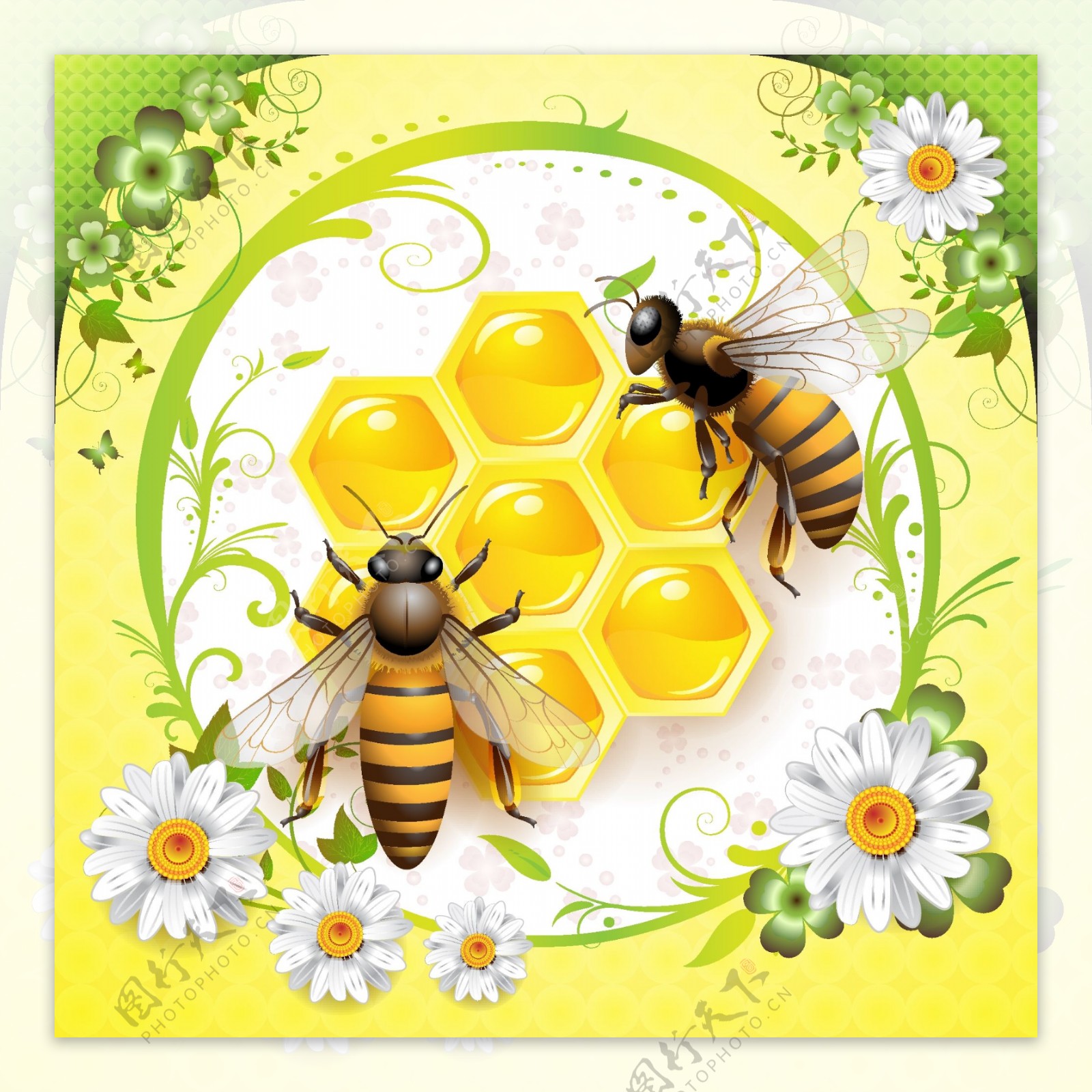 蜜蜂向量