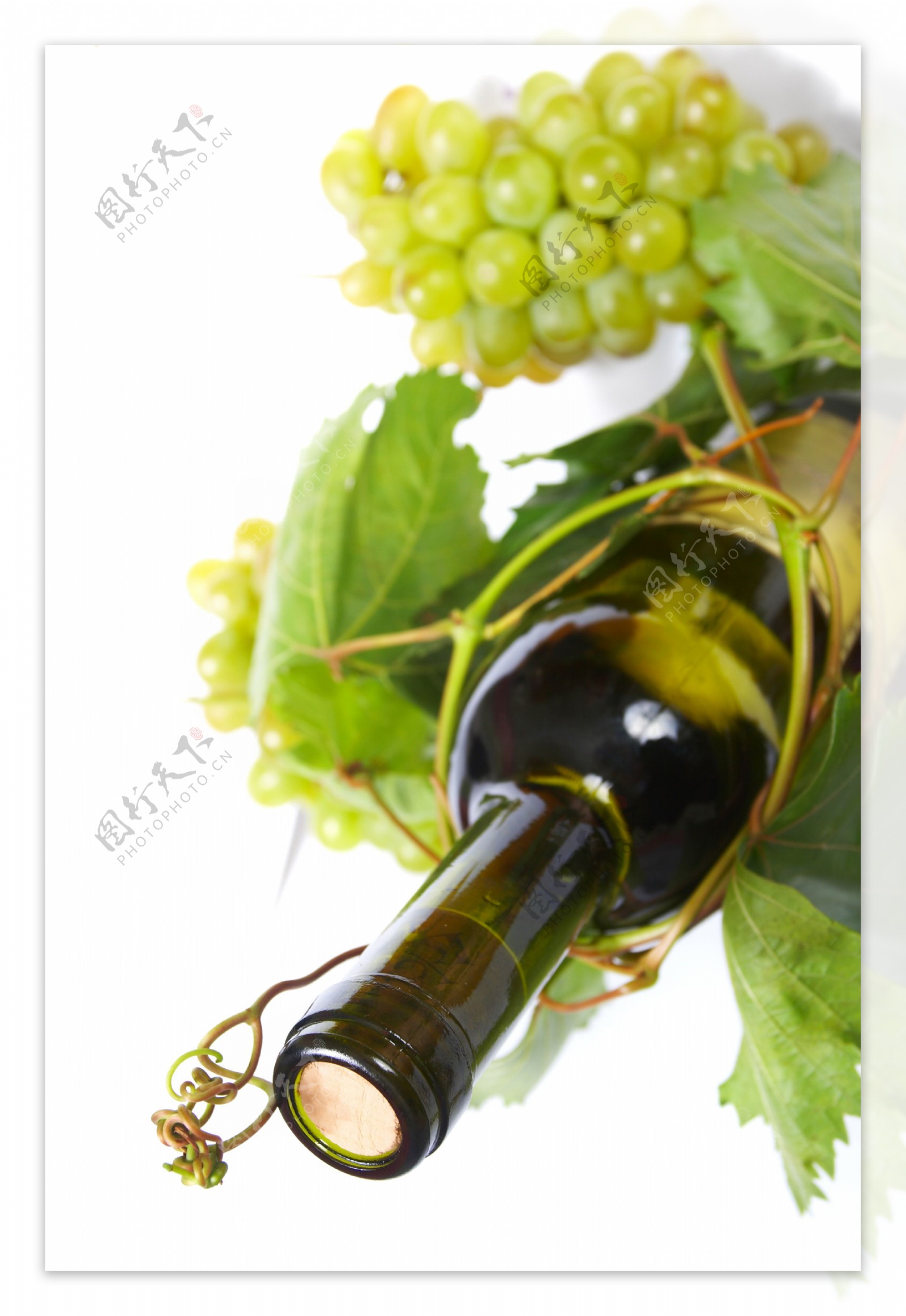 白葡萄酒高清图片素材4