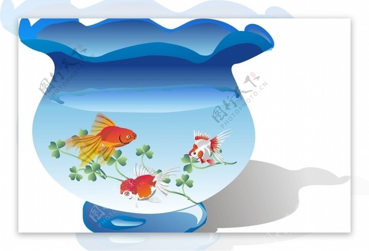 小白的懒人鱼缸造景记—画法几何两栖生态鱼缸 - 知乎