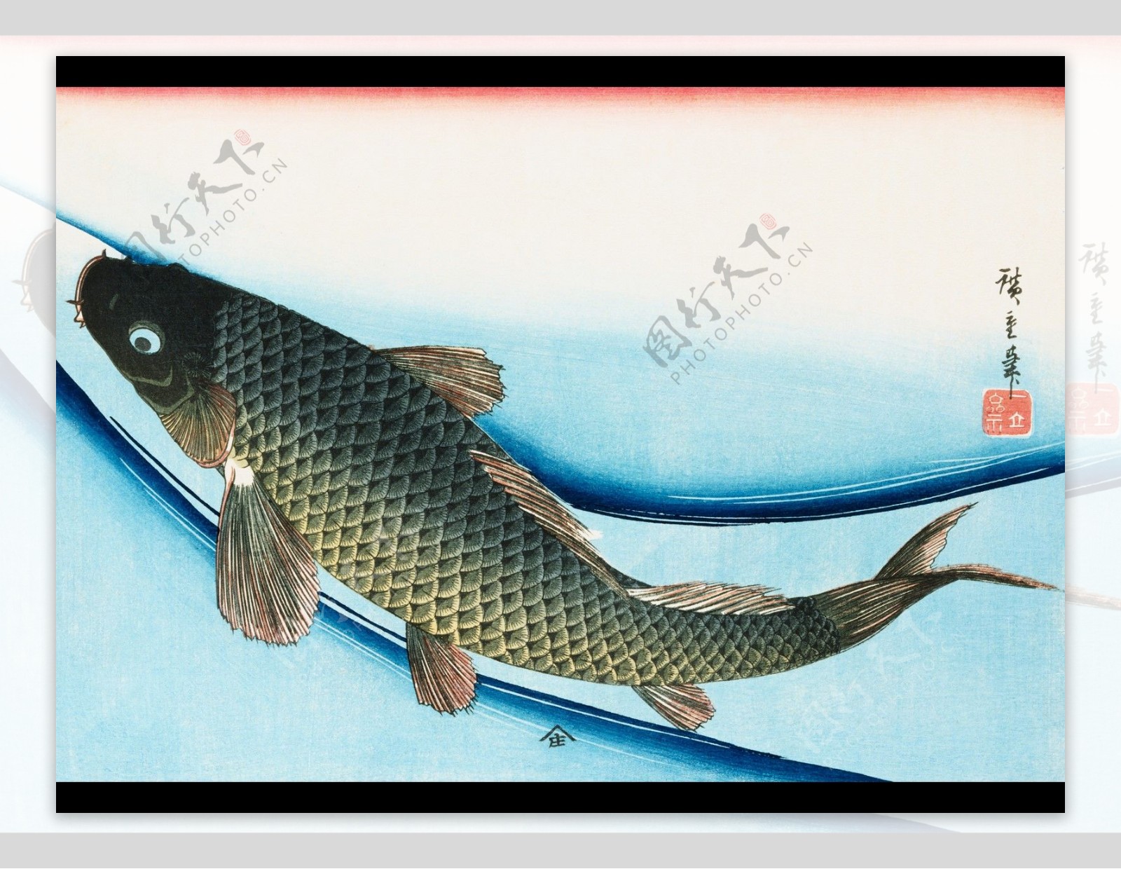 草鱼海水鱼各种鱼图片素材-编号09938182-图行天下