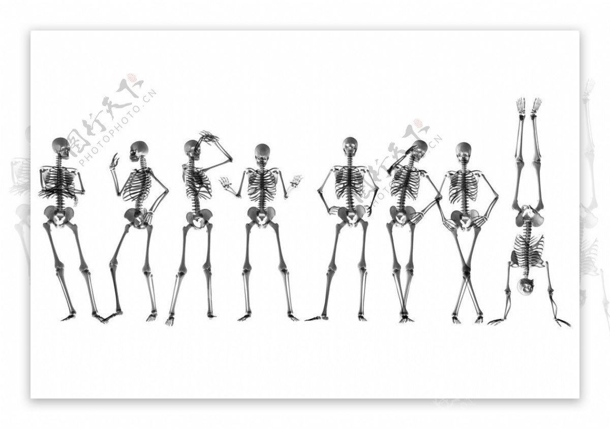 各种人体骨骼姿态图片素材-编号07810768-图行天下