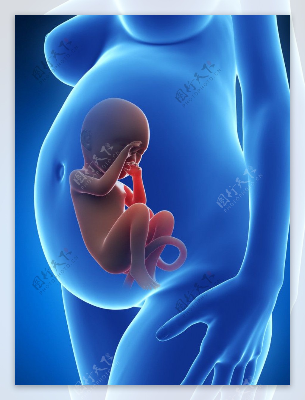 怀孕7个月胎动少怎么回事-菠萝孕育