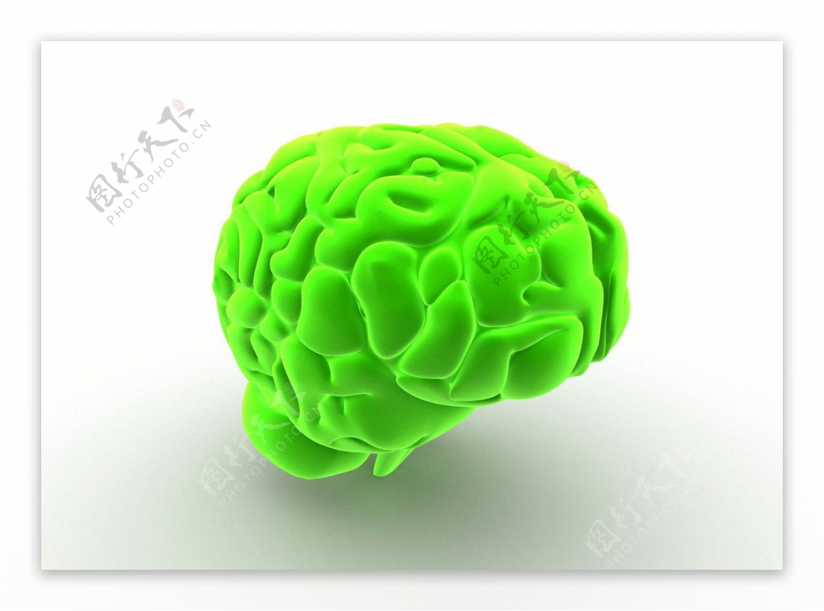 大脑图图片