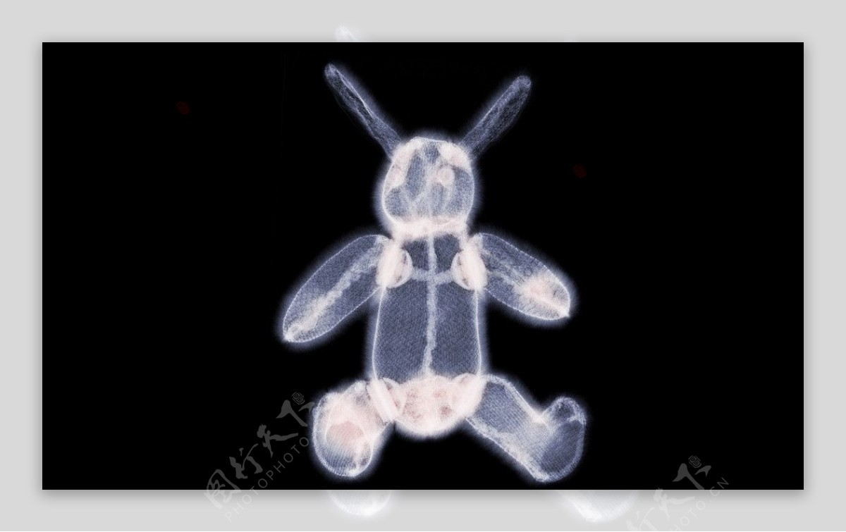 玩具熊的X光透视图片