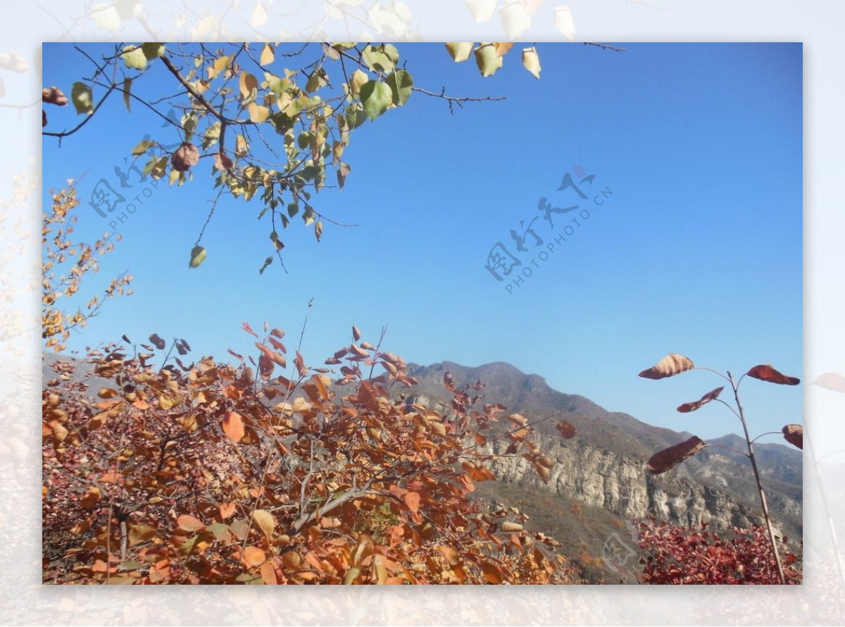 坡峰岭秋景图片