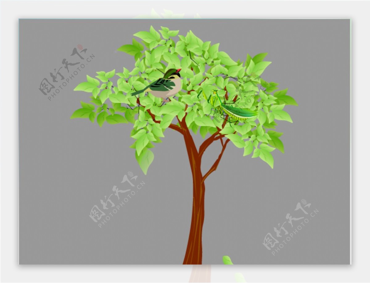 树上的螳螂与小鸟flash动画