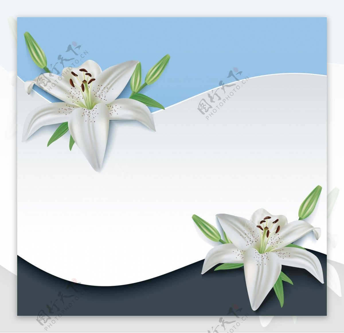 3d剪纸花卉背景图片