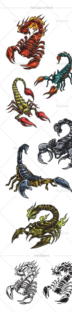 蝎子纹身图案图片
