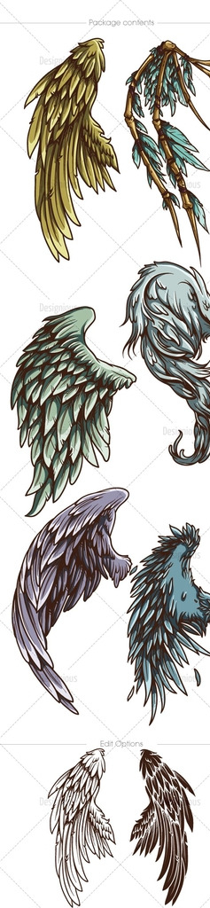 翅膀纹身图案图片
