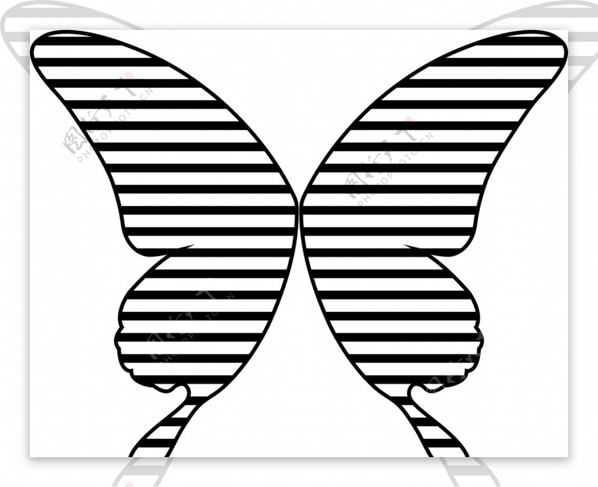 线条蝴蝶图图片