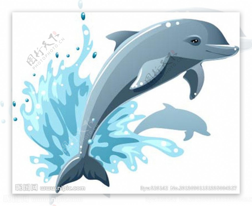 可爱海豚图片