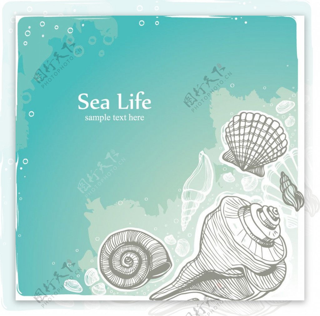 手绘海洋生物图片