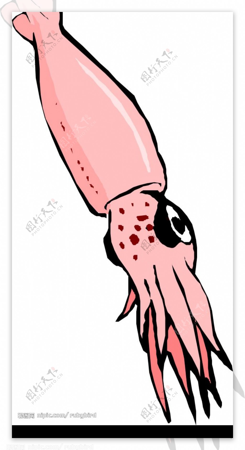 手绘卡通粉色乌贼鱿鱼图片素材免费下载 - 觅知网