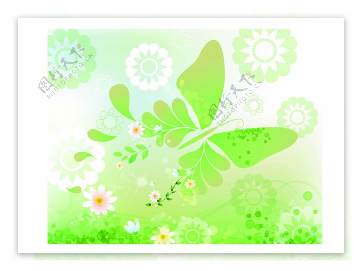 蝴蝶绿植图片