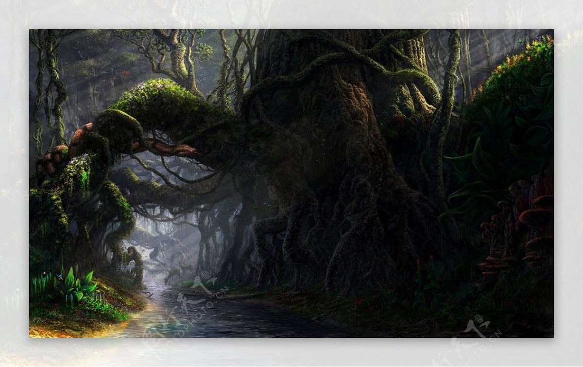 古风欧式CG场景森林图片