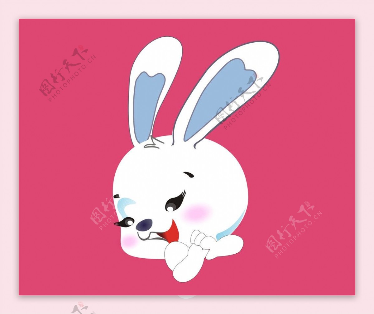 动物兔子小白兔图片