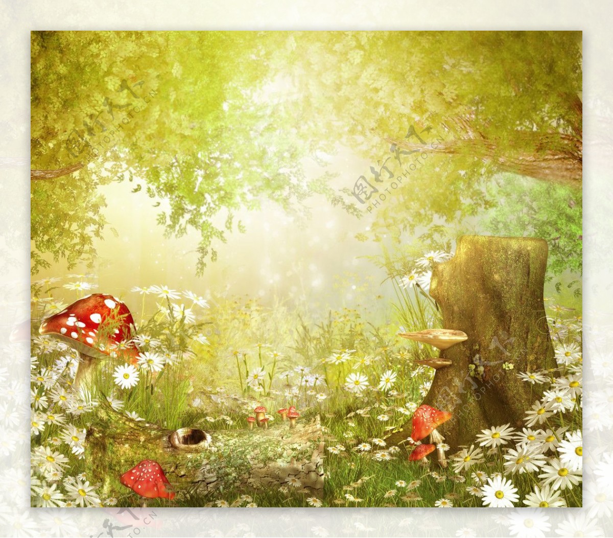 童话世界蘑菇丛林野菊花图片