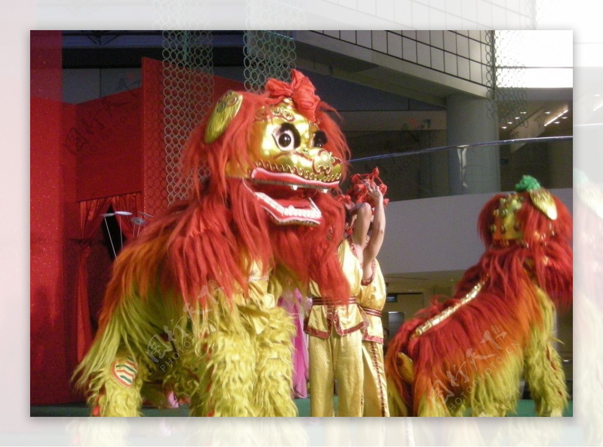 舞狮北狮中国传统文化表演艺术瑰宝节庆华人狮子liondance图片