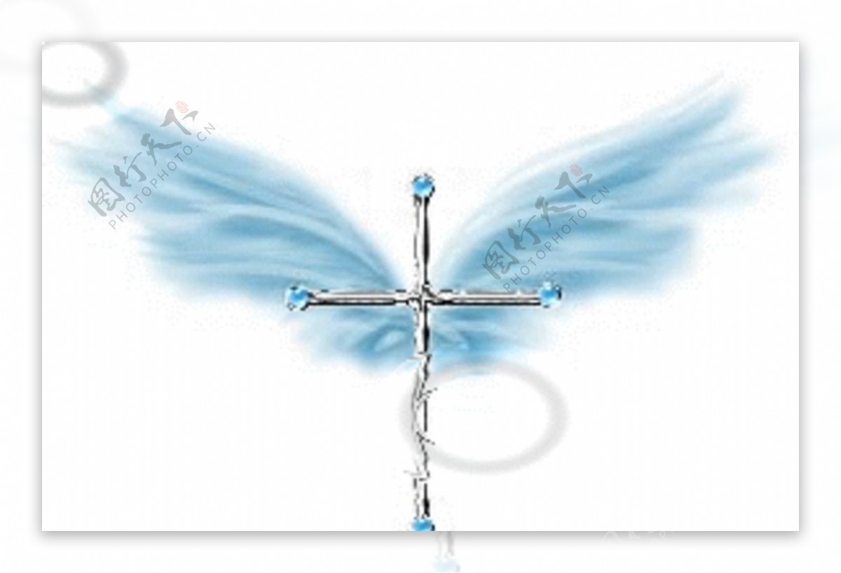 十字之翼图片
