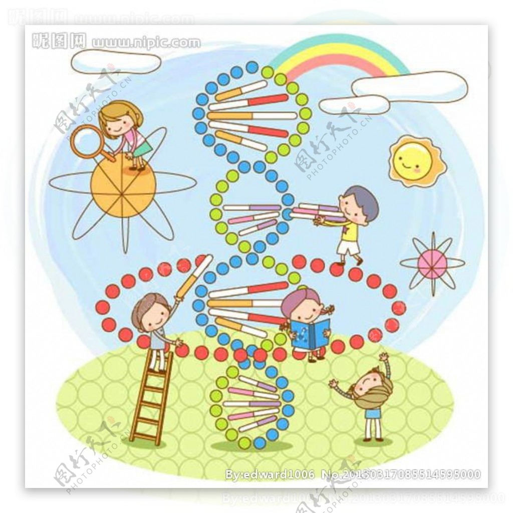 DNA模型图片