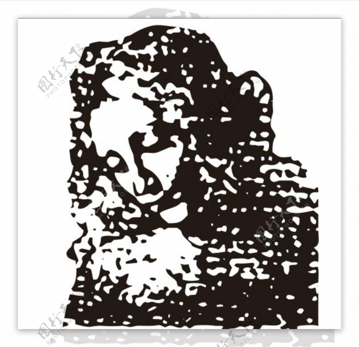 达芬奇的油画女子头像图片