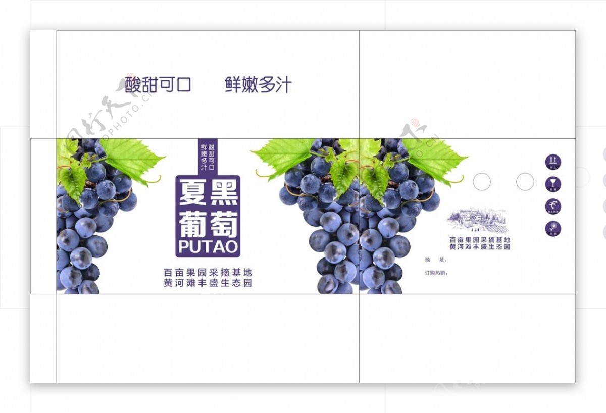 时尚简洁蓝莓葡萄包装箱图片