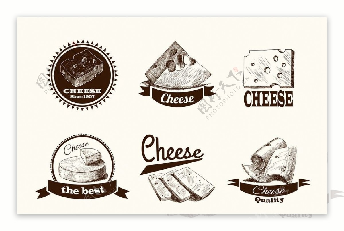 奶酪乳酪CHEESE图片