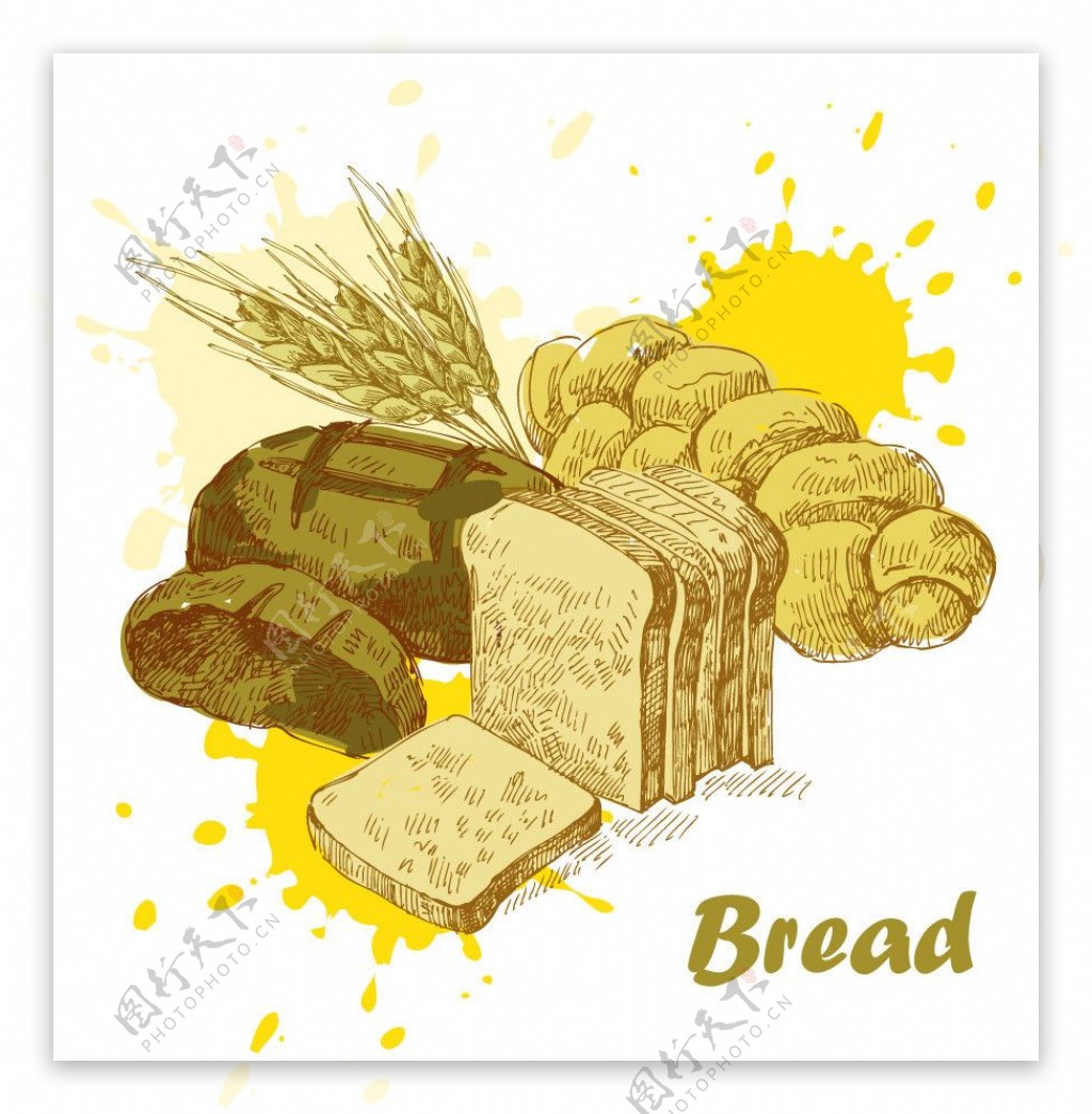 手绘面包小麦图片