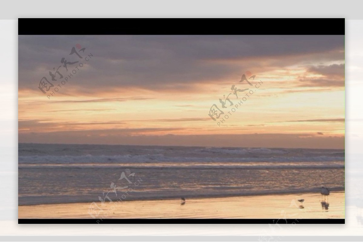 海滩黄昏视频素材