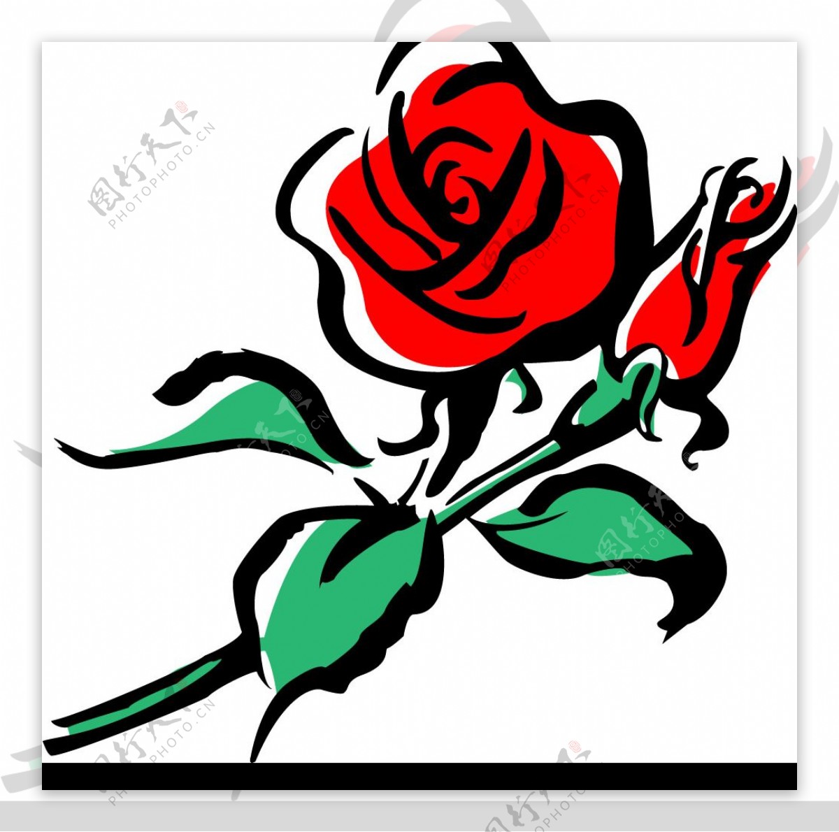 玫瑰花图片素材-编号16637354-图行天下