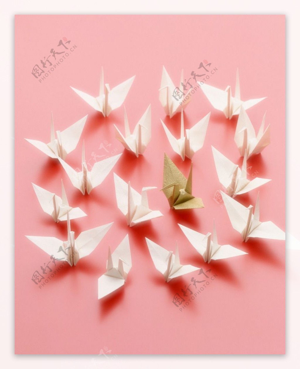 40,000+张最精彩的“千纸鹤”图片 · 100%免费下载 · Pexels素材图片