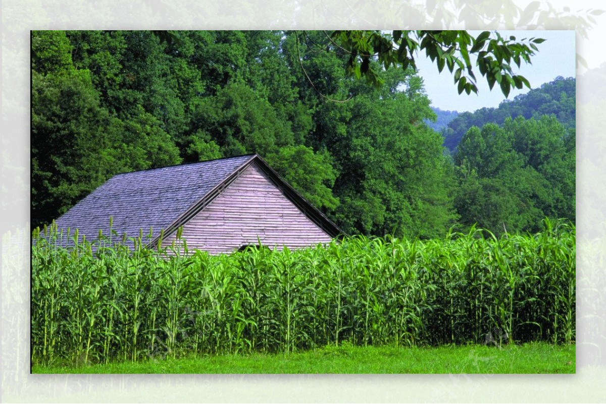 山间小屋旁风光图片