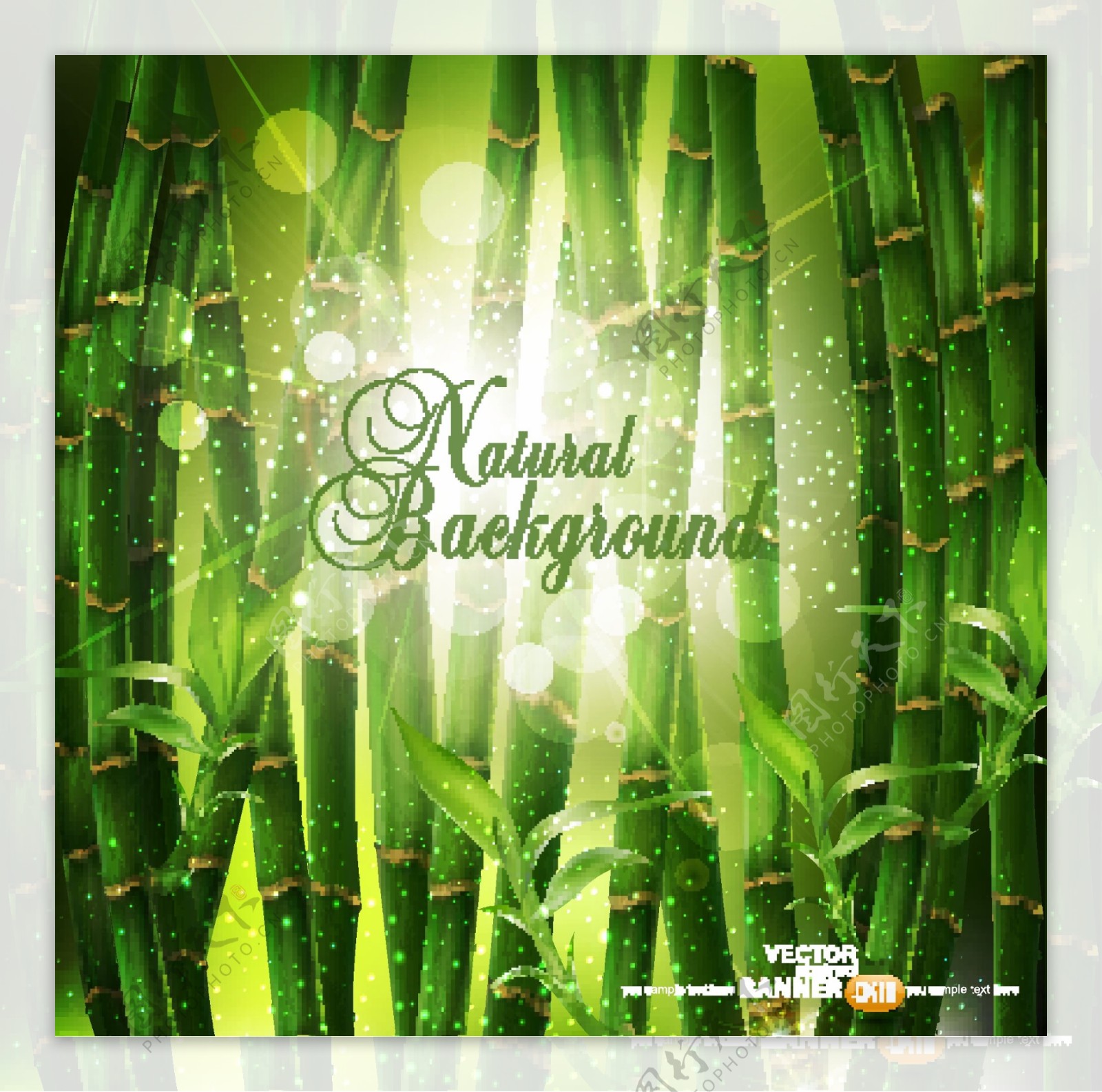 竹子绿色环保图片