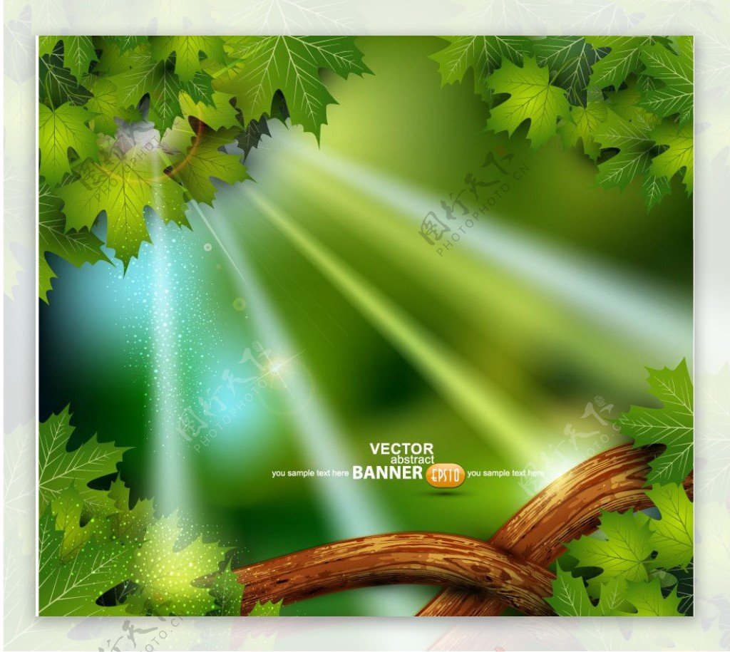 动感光芒绿叶树杆图片