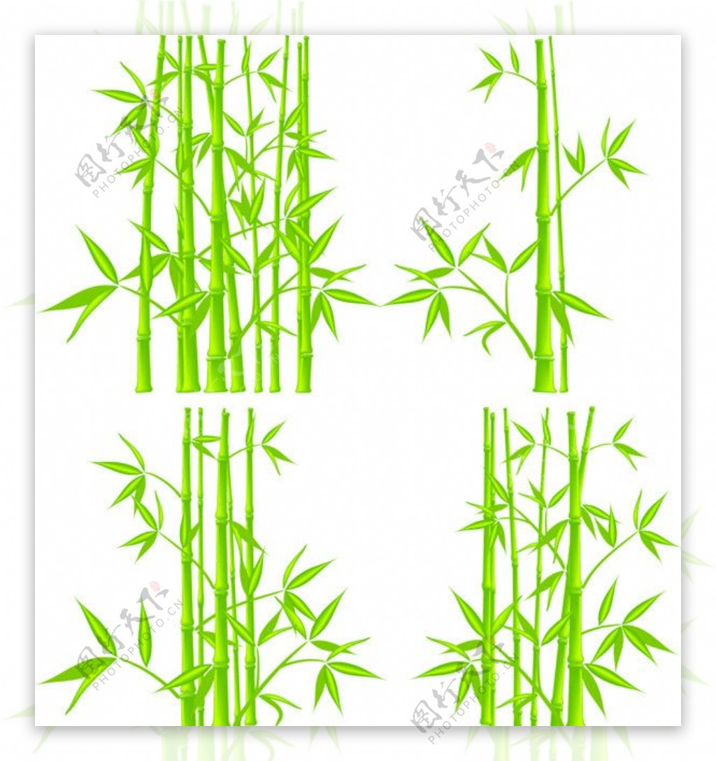竹子矢量素材图片